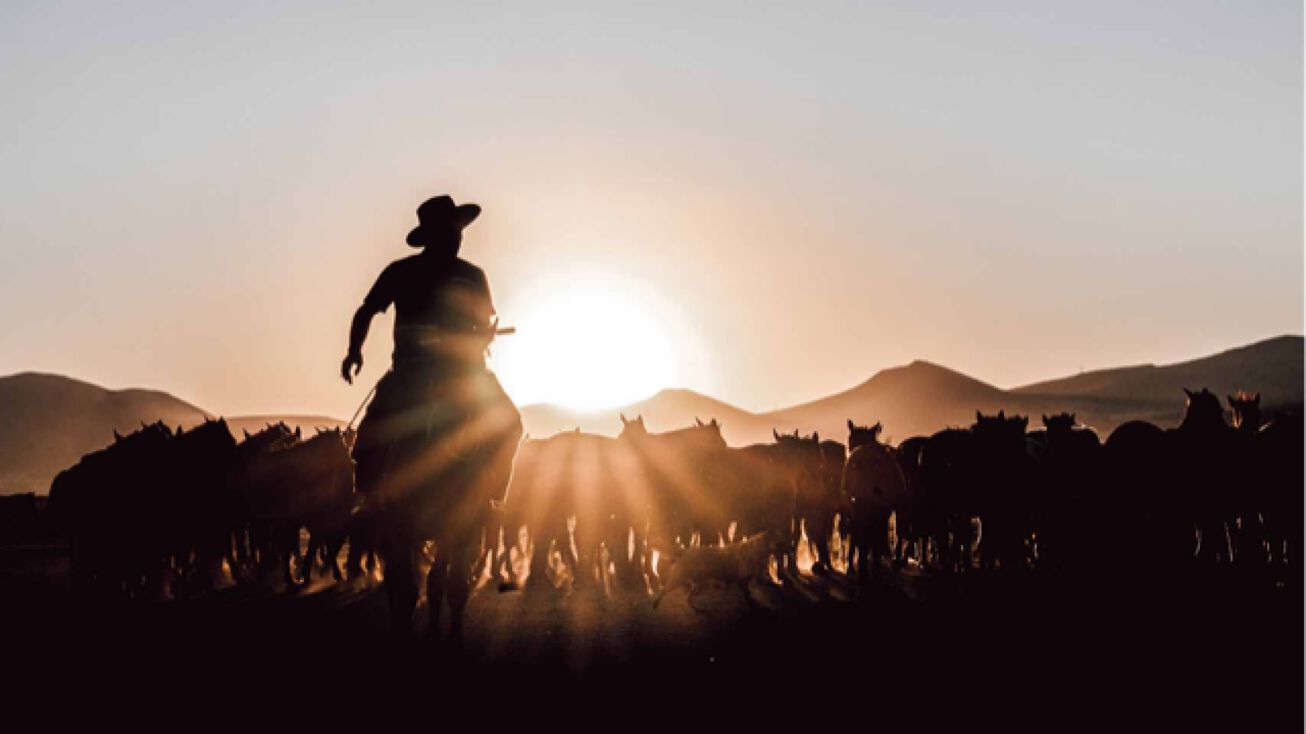 Horse Canyon Ranch, Roswell, NM 88201