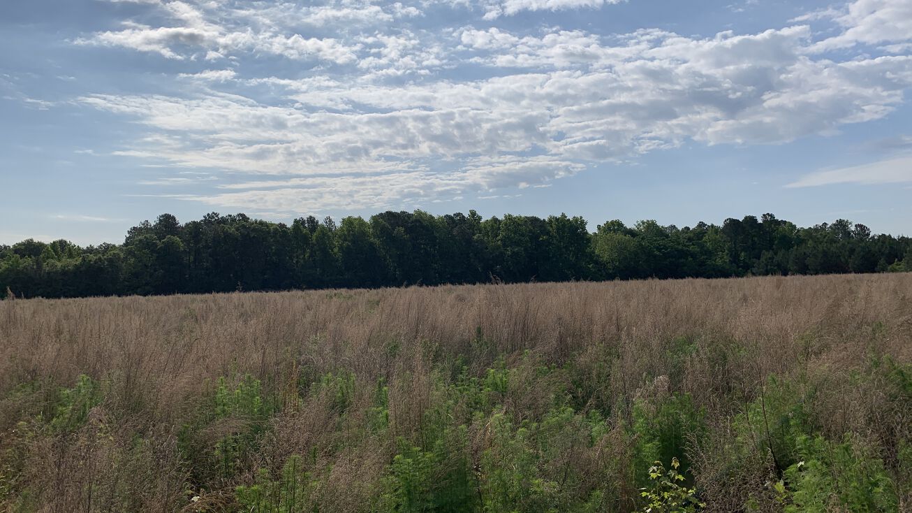 0 Mock Street, Hiltonia, GA 30467