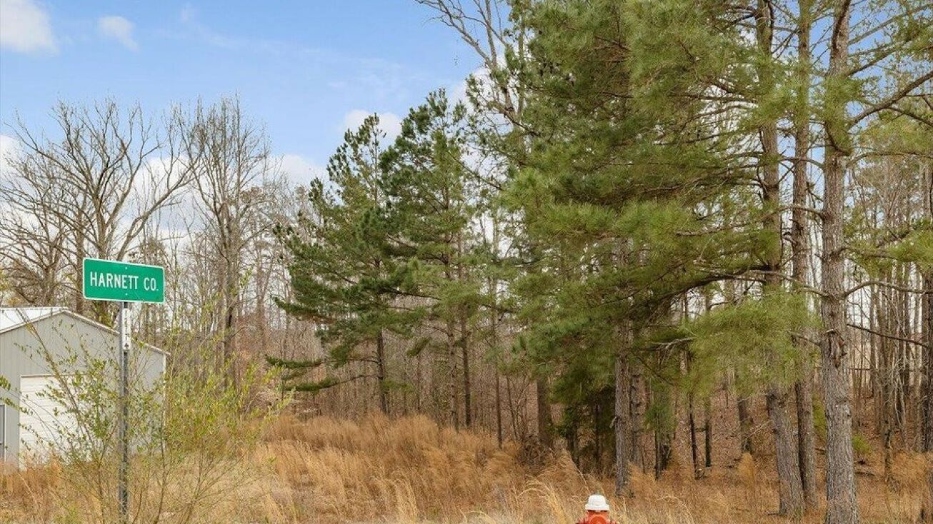 00 Thomas Kelly Road, Buffalo Lake, NC 27330 Land for Sale 00