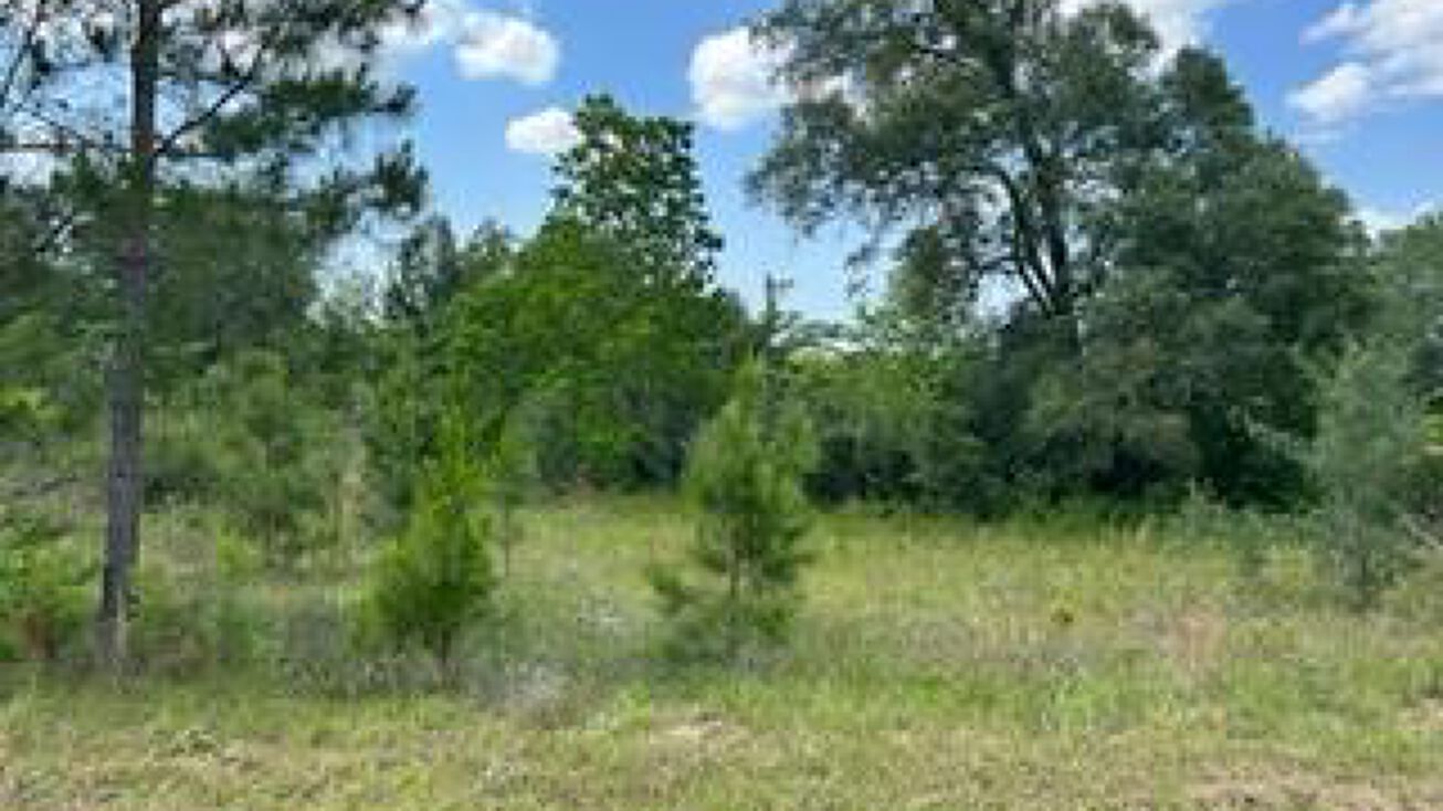 Lot 32 Riggins Road, Moultrie, GA 31768