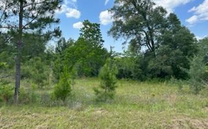 Lot 32 Riggins Road, Moultrie, GA 31768 - Land for Sale - Lot 32 ...