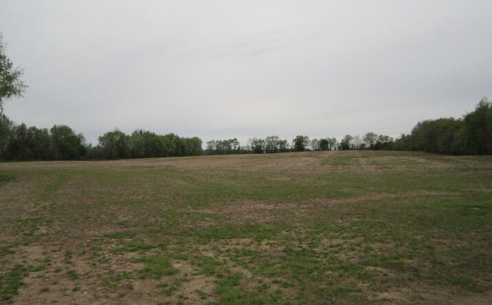 Pictures of Land property located at 18064 Homer Rd, Marshall, MI 49068 for sales - image #1