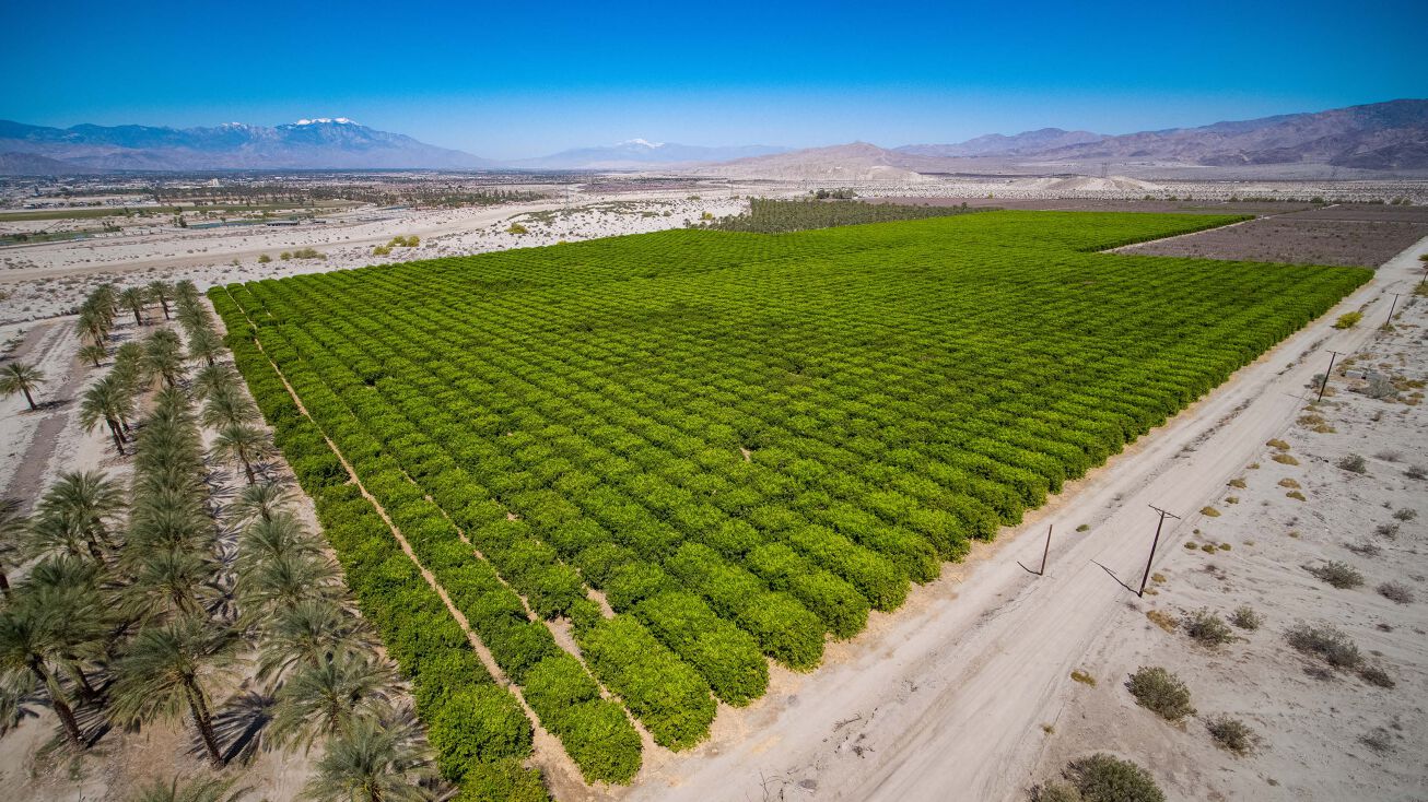 Polk St, Coachella, CA 92236