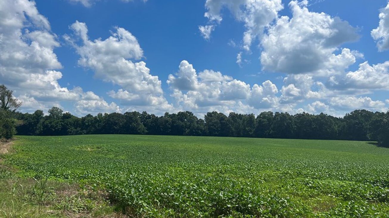 Pictures of Land property located at Steam Mill Ferry Rd, Jackson, TN 38301 for sales image 1