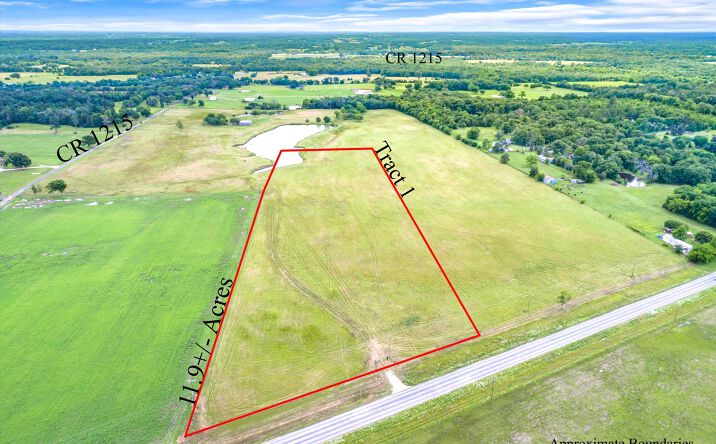 Tract 3 CR 1215, Canton, TX 75103 - Land for Sale - Tract 3 CR 1215