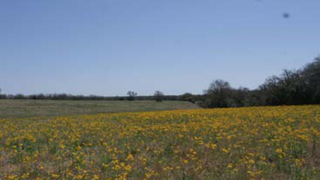 Vitera Sand Rd, Bremond, TX 76629