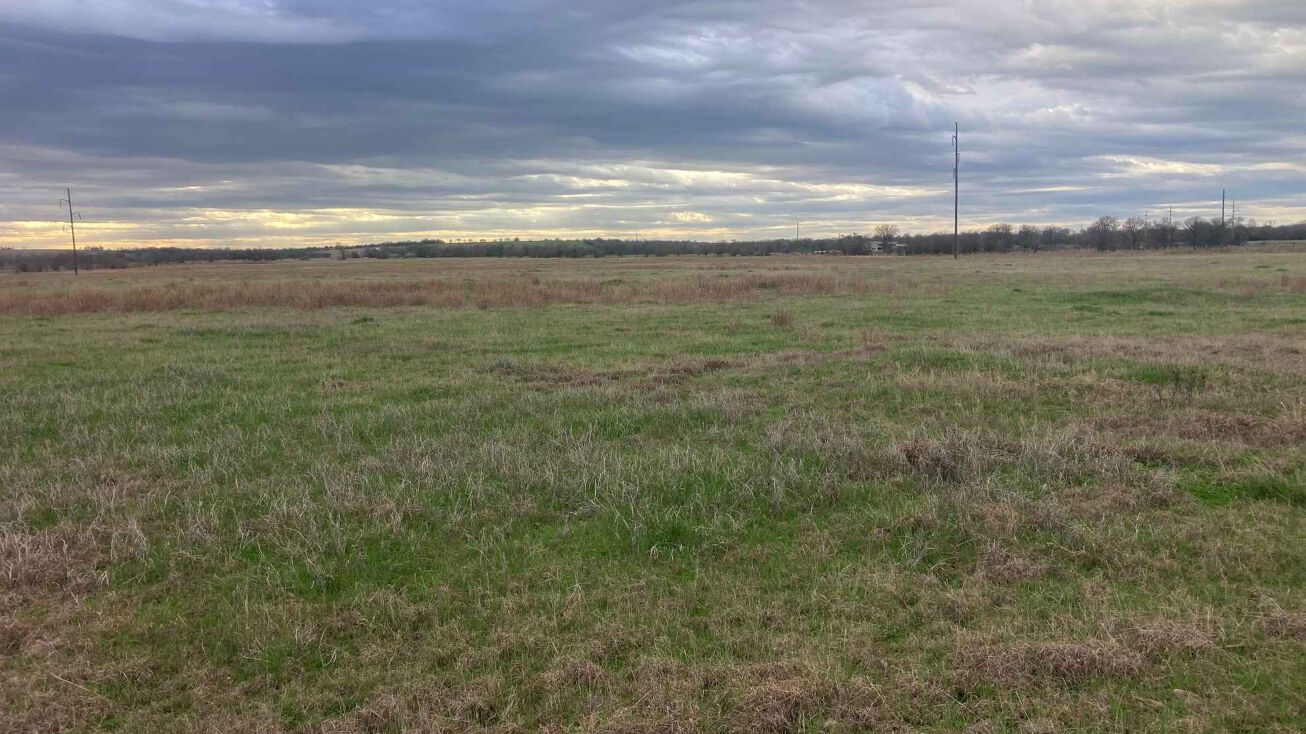 Pictures of Land property located at 36 acres in Milam County, Texas