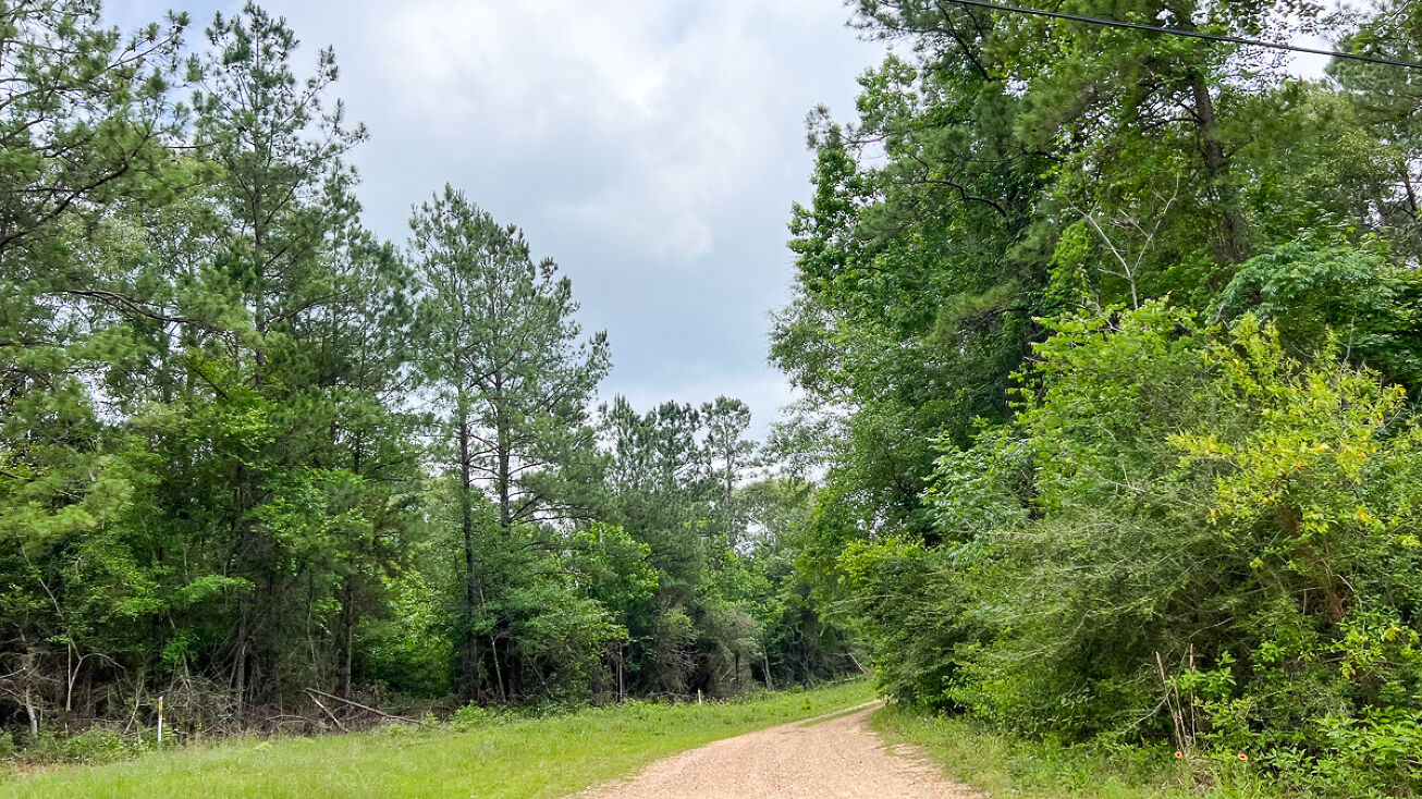 09 Old Arco Rd, Silsbee, TX 77656