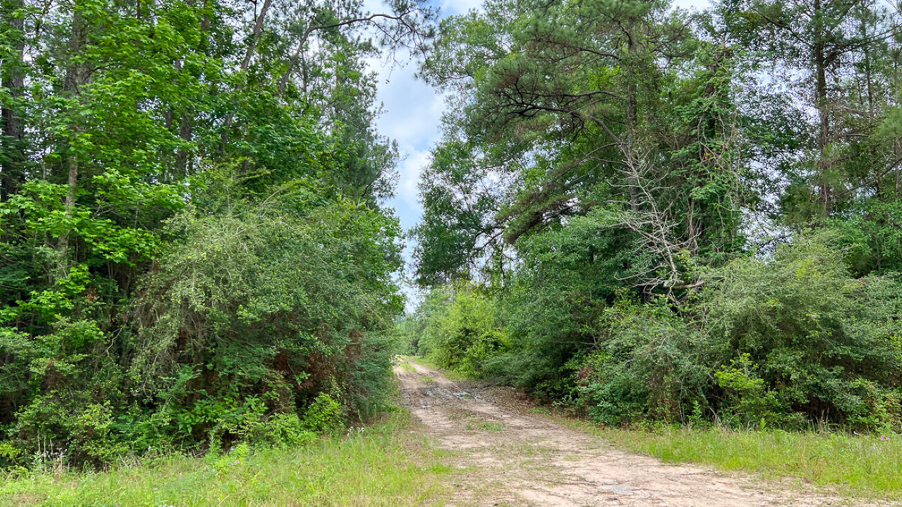 013 Old Arco Rd, Silsbee, TX 77656 Land for Sale Seller Financing