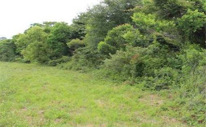 image of property at 303 FLEITAS AVE Pass Christian MS 39571-3910