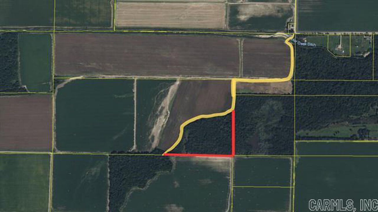 Greene Rd 313, Bono, AR 72416