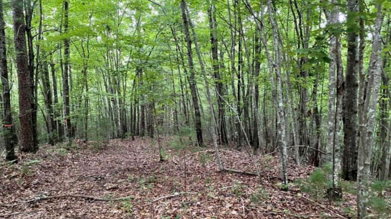 0 Gunite CT 2779, East Ellijay, GA 30540