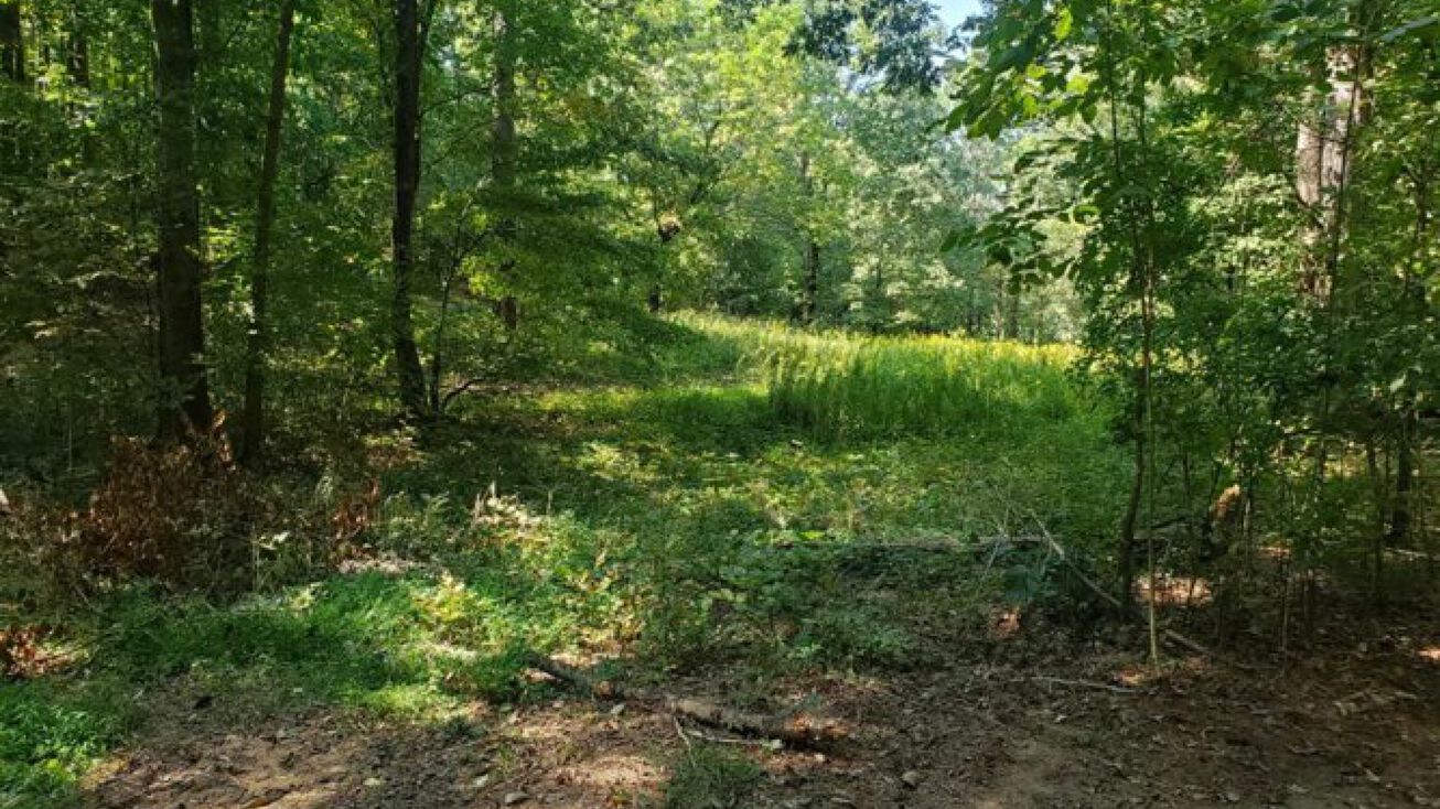 3490 Rome South Rd, Plainville, GA 30733 Land for Sale 3490 Rome Road