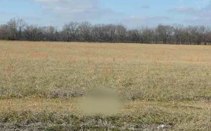 Pictures of Land property located at Ball Park Loop, Ledbetter, KY 42058 for sales - image #1