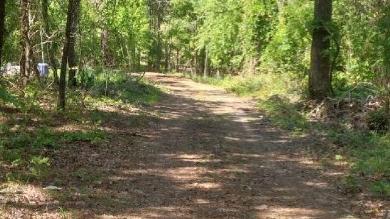 TBD Osage Road, Bismarck, AR 71929 Land for Sale TBD Osage Road