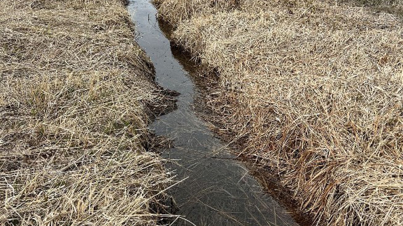 8 Riparian Way, Bozeman, MT 59718 Land for Sale Lot 8 South