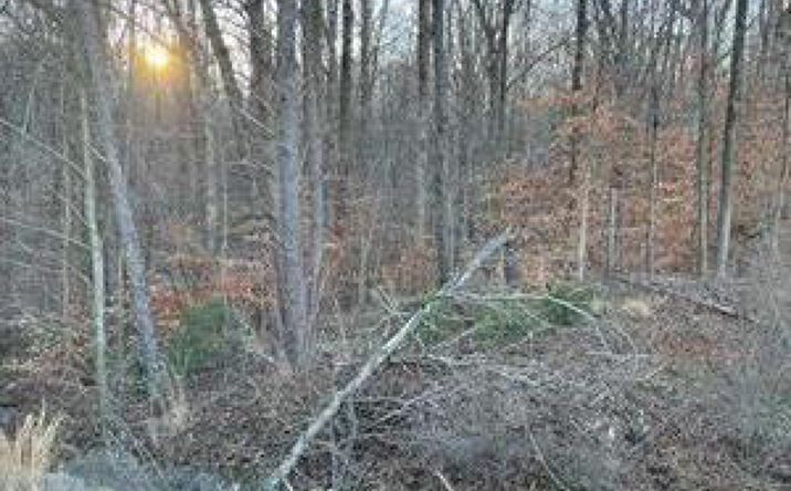 Pictures of Land property located at 2202 Jesse Jewell Parkway NE, Gainesville, GA 30507 for sales - image #1