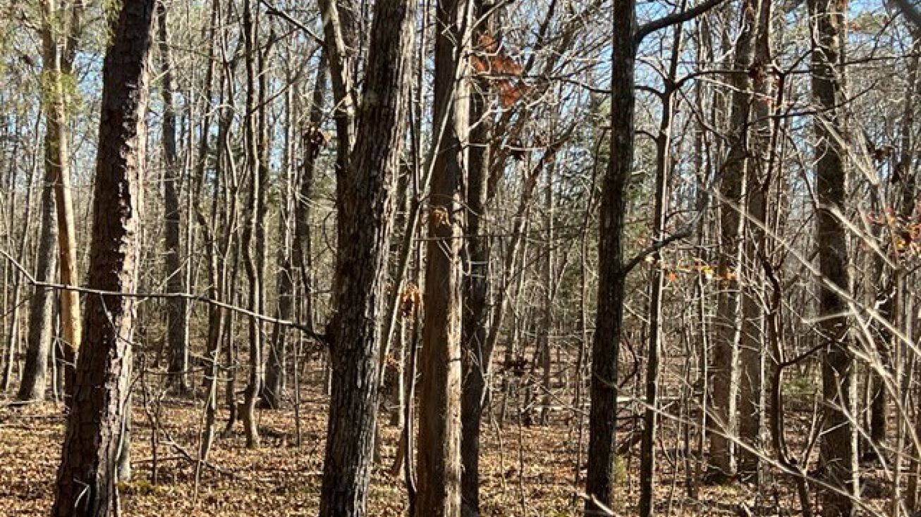 Johnny Shaw Rd, Moncure, NC 27559 Land for Sale 0000 Johnny Shaw