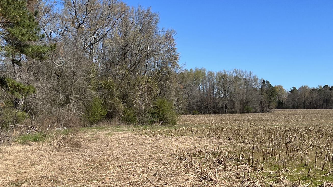 680 Pea Ridge Rd, New Hill, NC 27562