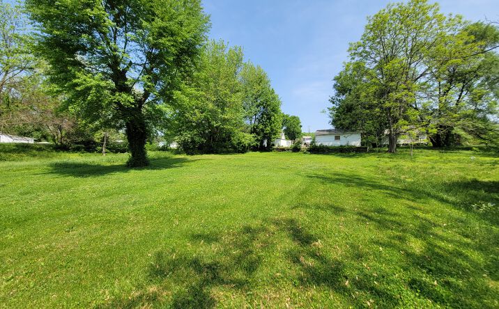 Pictures of Land property located at 1031 Texas St, Louisiana, MO 63353 for sales - image #1