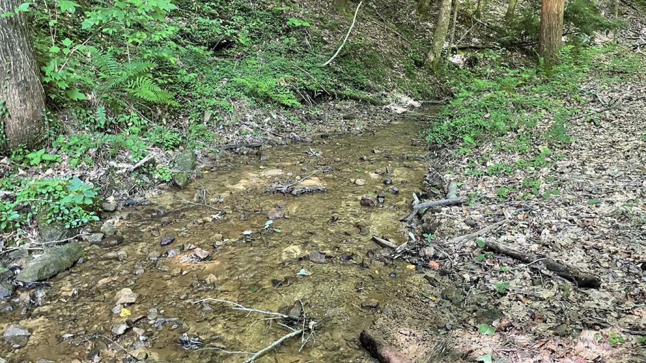 480 Kings Bluff Drive, Haleyville, AL 35565