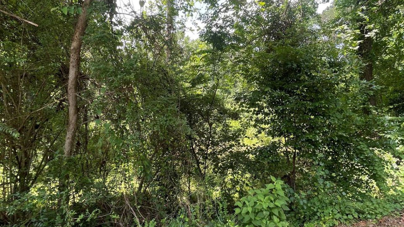 Lots 14 & 15 Clark Hill Dr, Eufaula, AL 36027