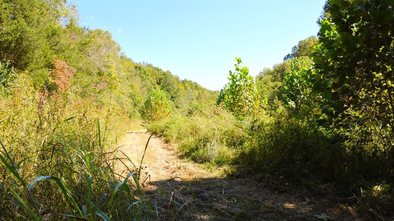 Cedar Top Little Barren River Rd, Edmonton, KY 42129 Land for Sale