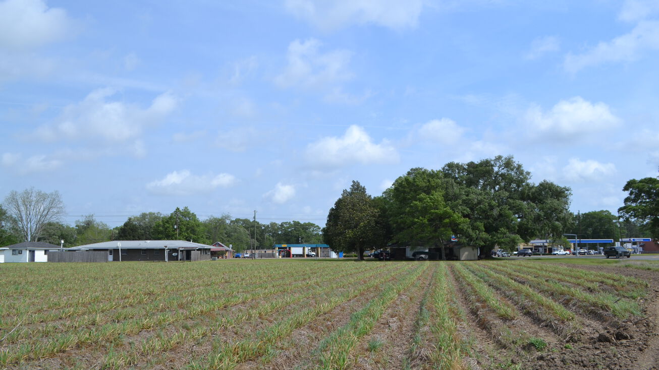 2908 Loreauville Rd, New Iberia, LA 70563 Land for Sale Corner