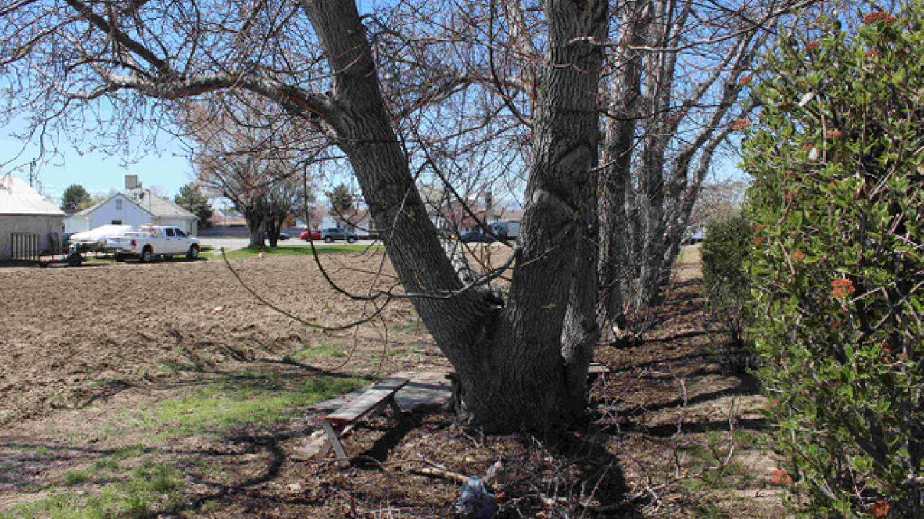 1748 N State St, Orem, UT 84057