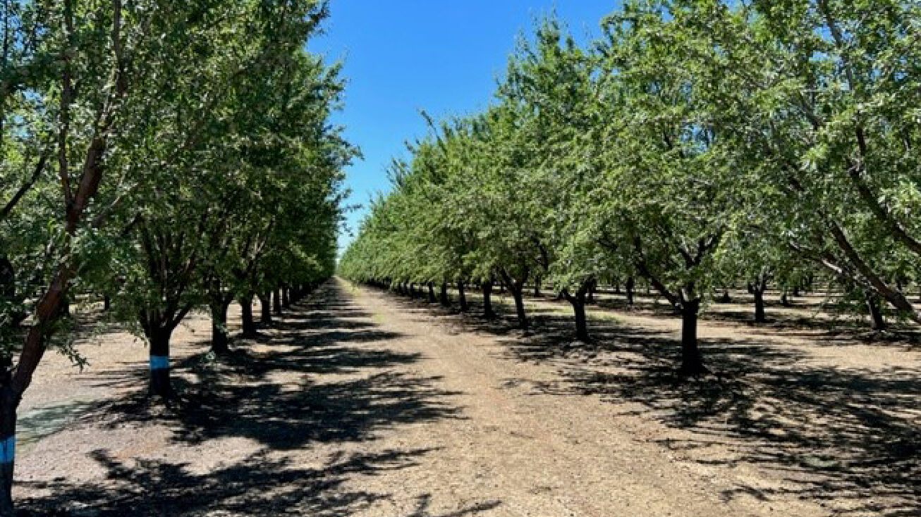 Co Rd 87, Esparto, CA 95627 Land for Sale Esparto Farms Yolo County