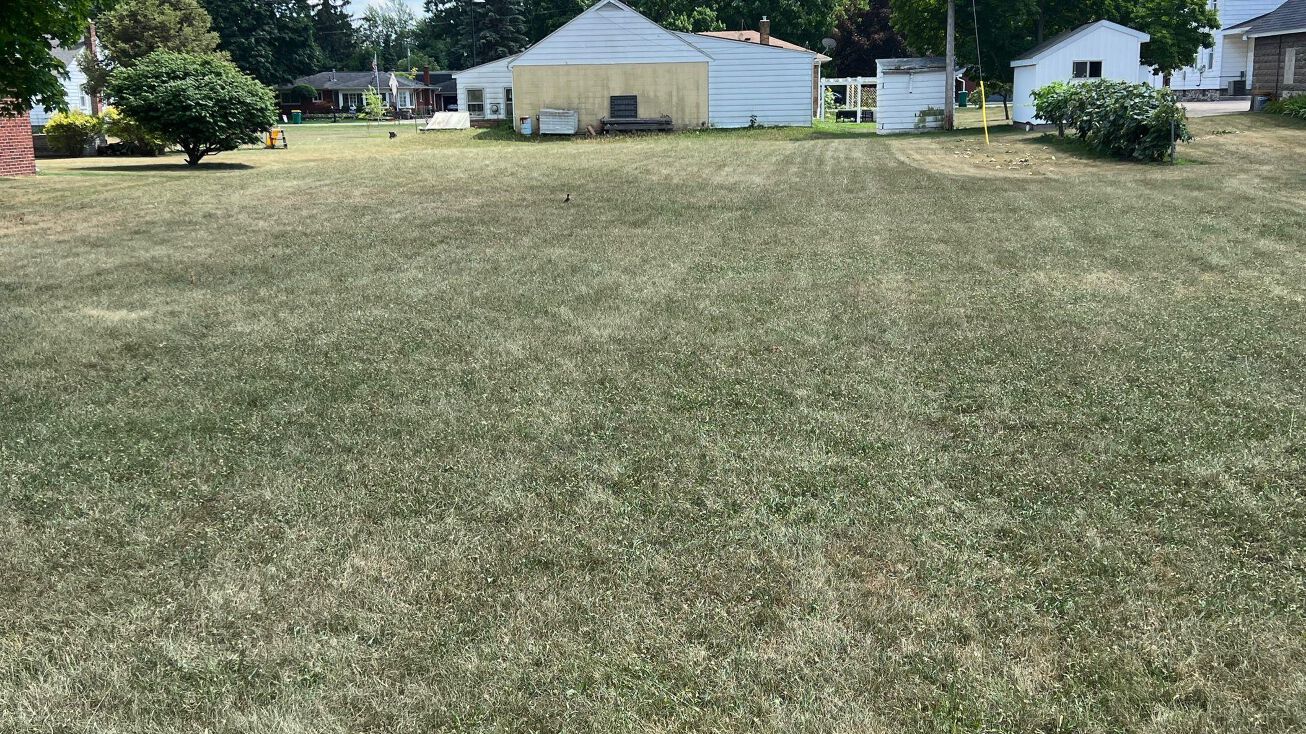 Vacant Mario Ann, Romulus, MI 48174