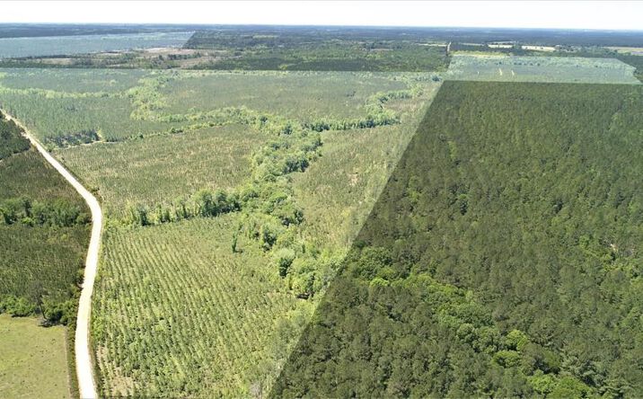 Pictures of Land property located at Union Cemetery Rd, Fitzgerald, GA 31750 for sales - image #1