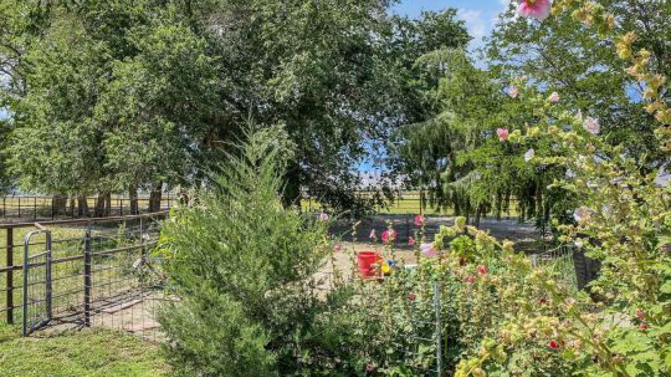 Pete Hendrichs Road, Yerington, NV 89447