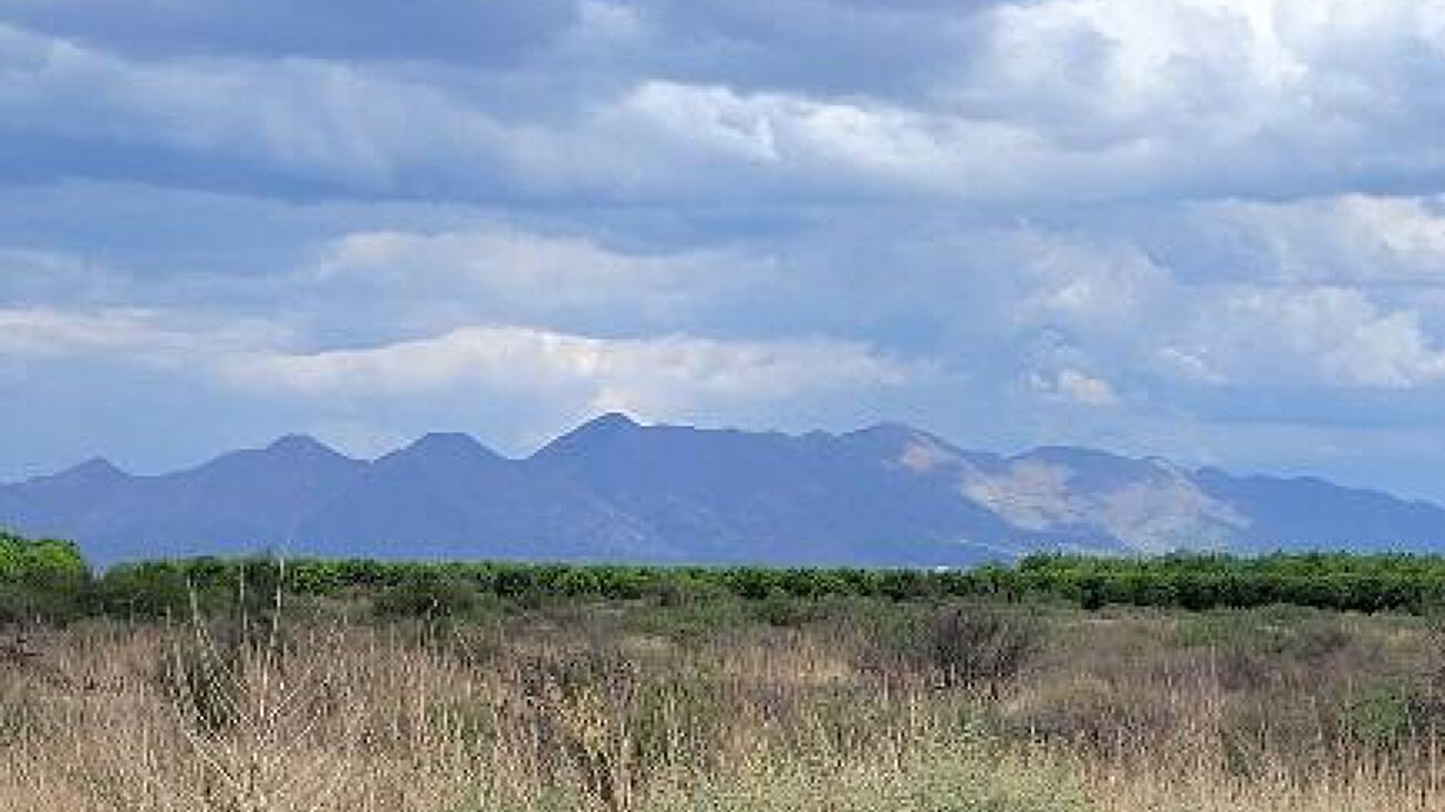 40 +/ ACRE N Martineau Road, Elfrida, AZ 85610 Land for Sale 40