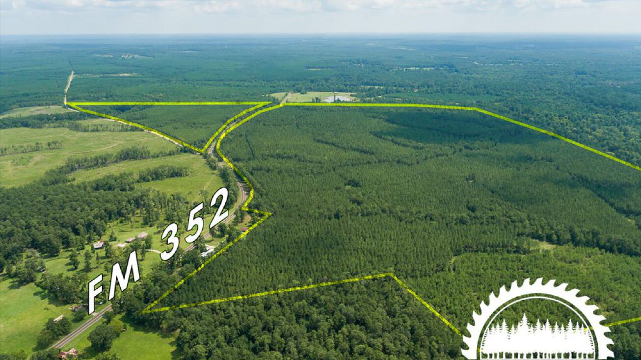 Parmely Parrish Rd, Corrigan, TX 75939