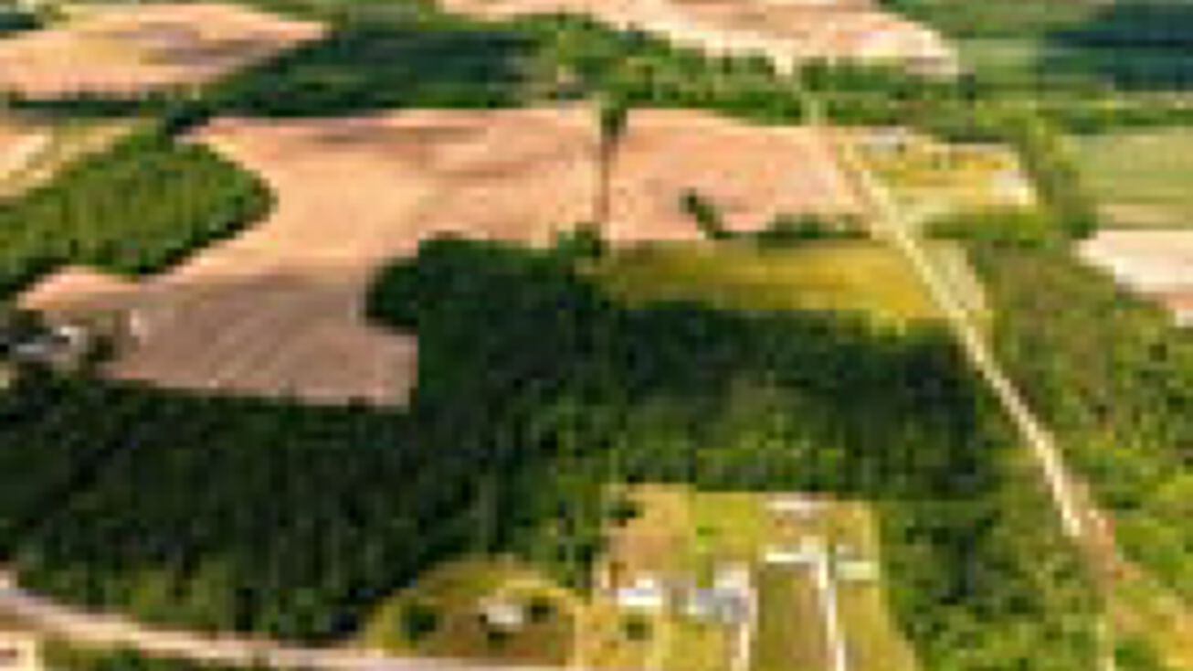 Meander Dr, Timmonsville, SC 29161 Land for Sale TBD Meander Drive