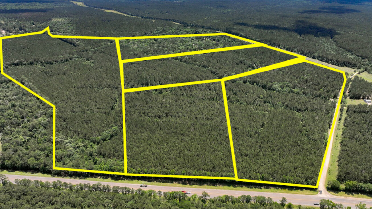 14 Acres T2 Highway 190, Oakhurst, TX 77359