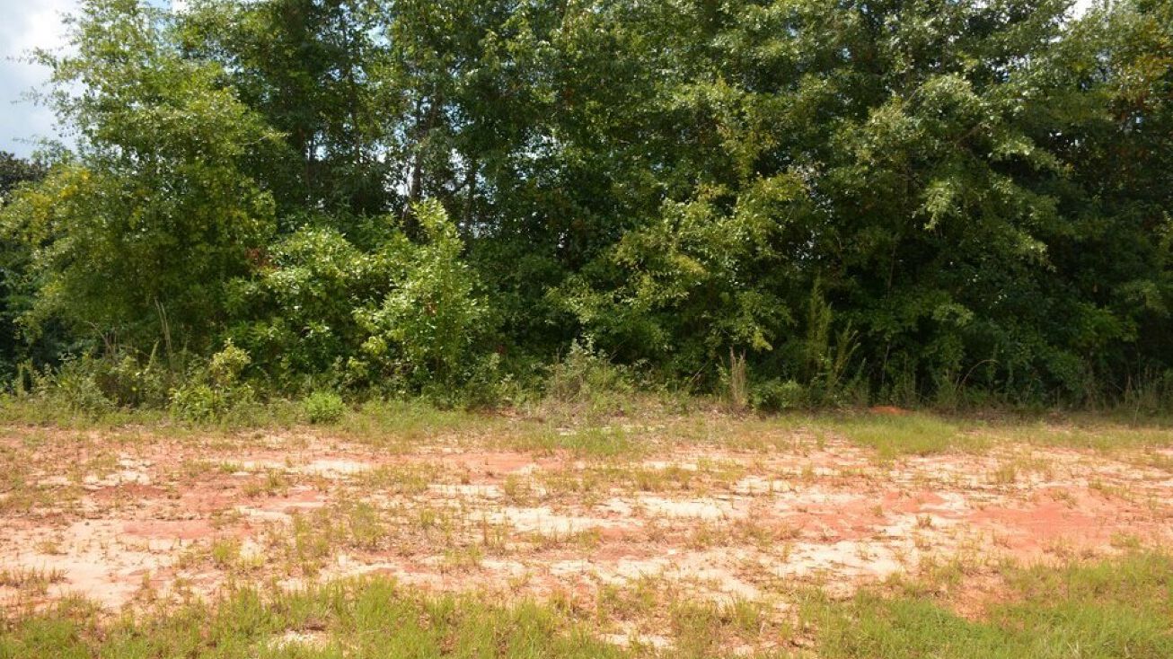 Freedom Heights, Enterprise, AL 36330 Land for Sale TBD Freedom Heights