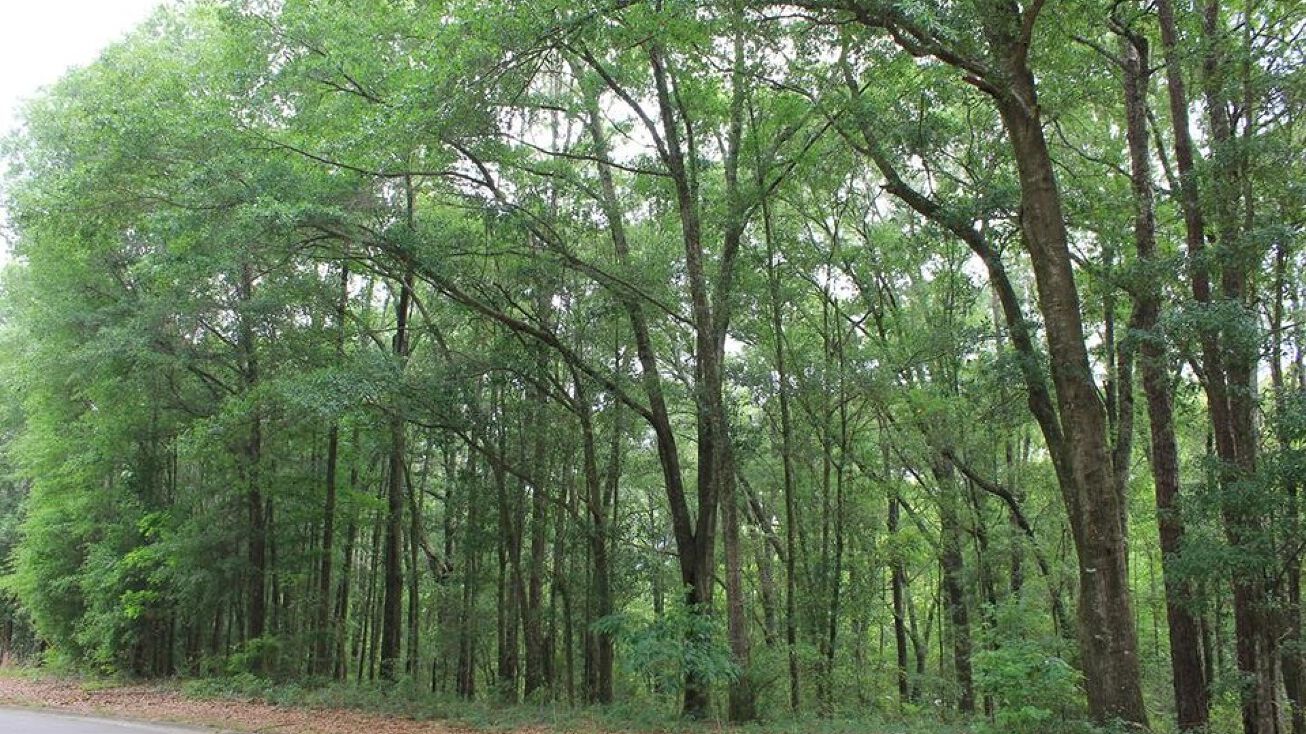 104 Oak Bluff Dr, Enterprise, AL 36330