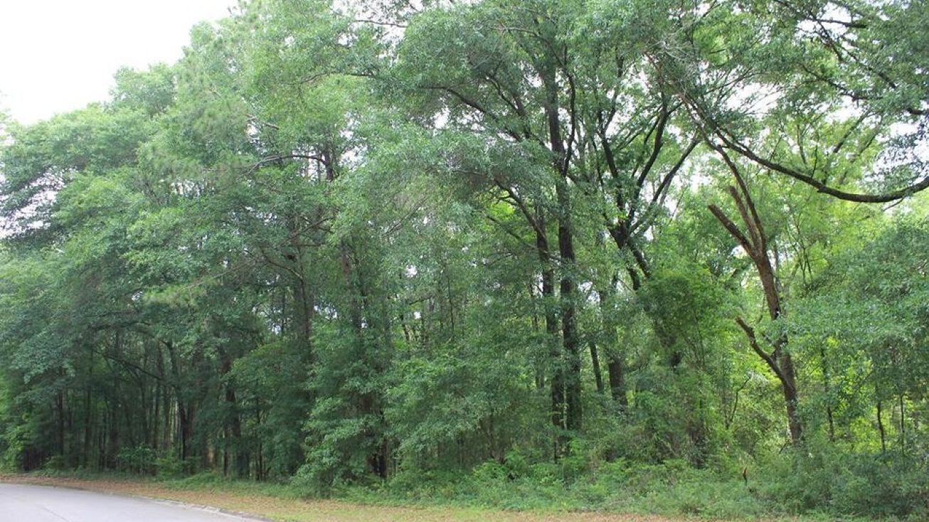 102 Oak Bluff Dr, Enterprise, AL 36330