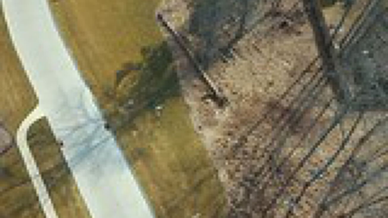 Cedar Creek Dr, Strongsville, OH 44149