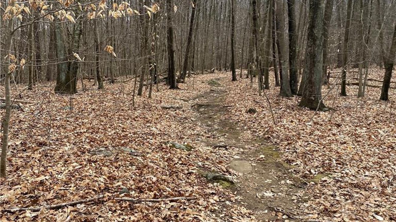 186 Canterbury Turnpike, Norwich, CT 06360 Land for Sale 186