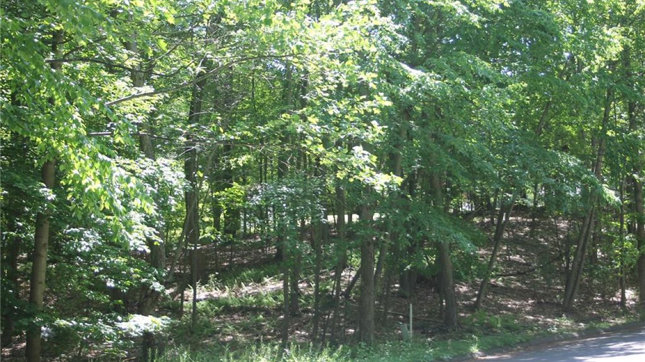 39 Saddle Ridge Rd, Glastonbury, CT 06033 Land for Sale 39 Saddle