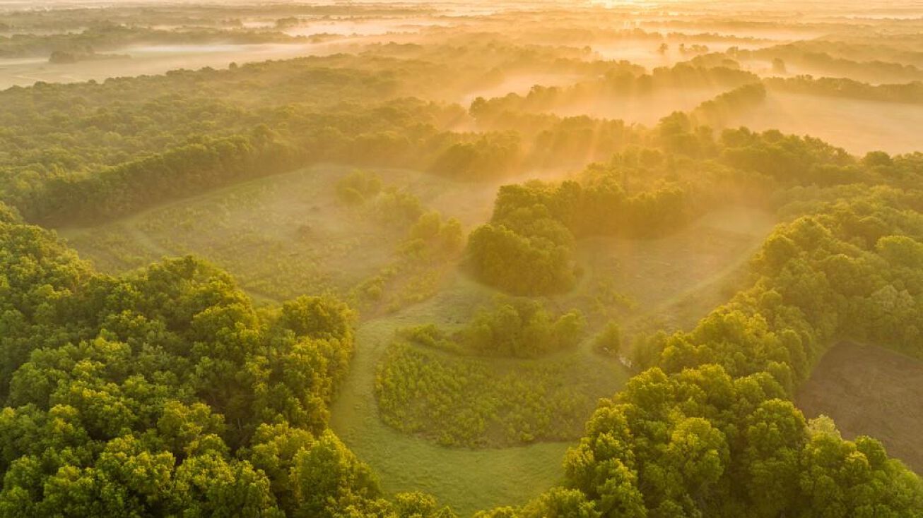 Campbell Road, Green Ridge, MO 65332