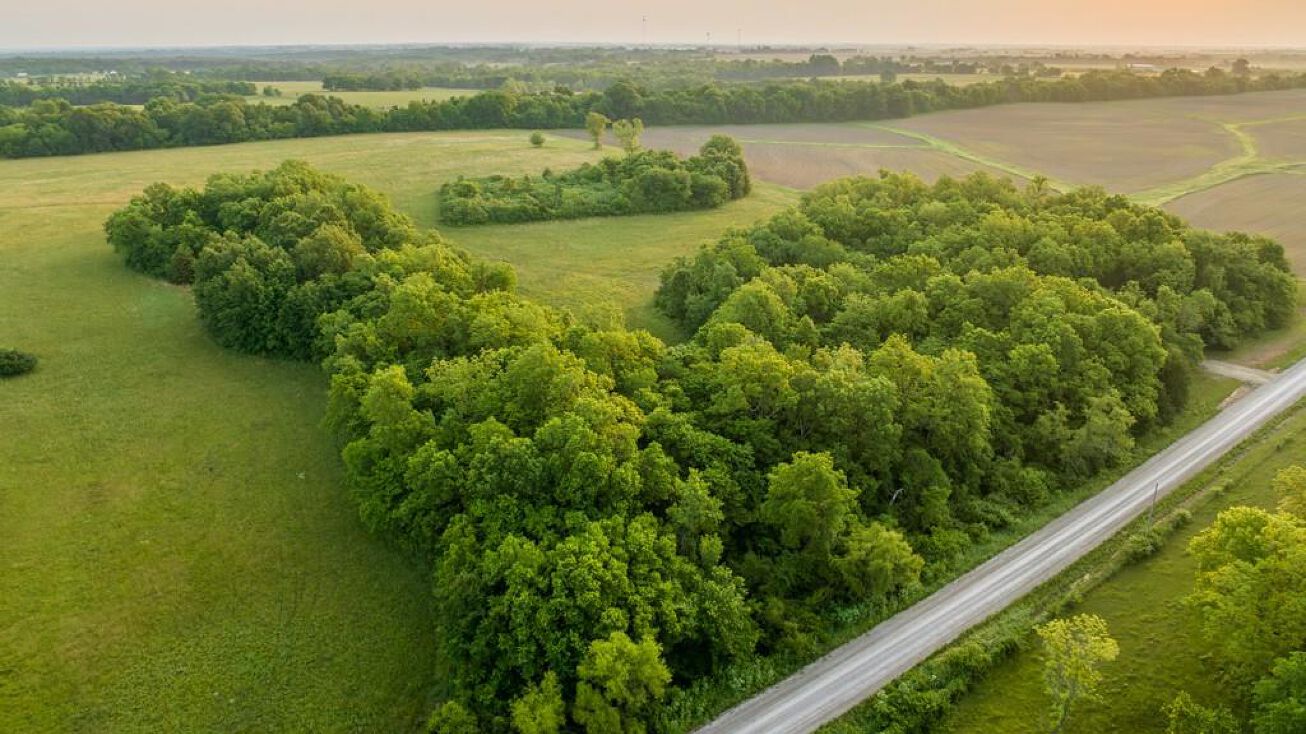 Tract 3 SW 1250th Road, Chilhowee, MO 64733 Land for Sale Tract 3