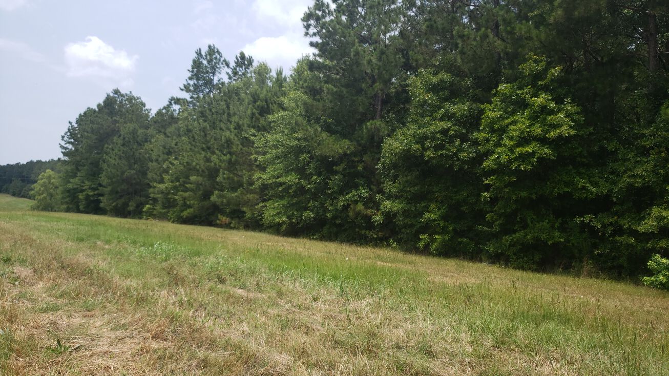 Fisher Rd, Many, LA 71449 Land for Sale Fisher Road