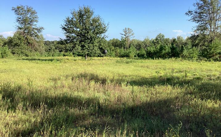 Pictures of Land property located at 500 Pond Creek Rd, Luverne, AL 36049 for sales - image #1