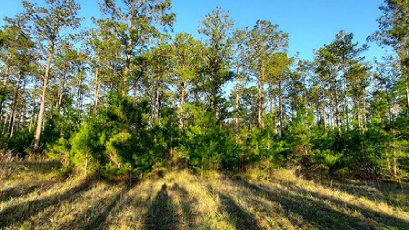 XX Boykin Road, Quincy, FL 32351