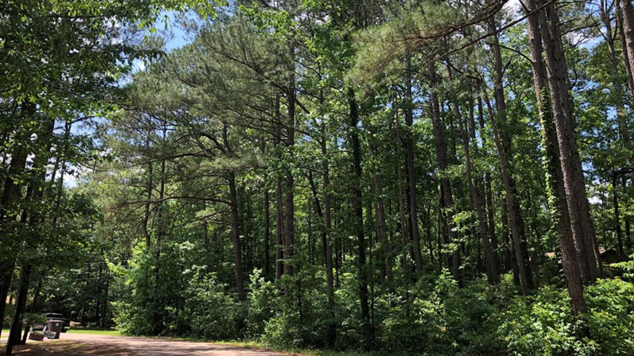 YonOMain Trail, Tupelo, MS 38804 Land for Sale Yonomain Trail