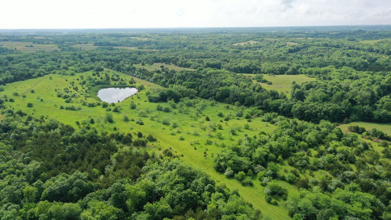 Hunting Paradise in Northwest Missouri, Denver, MO 64441